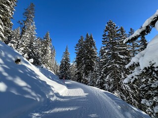Excellently arranged and cleaned winter trails for walking, hiking, sports and recreation in the area of the tourist resort of Davos in the Swiss Alps - Canton of Grisons, Switzerland (Schweiz)