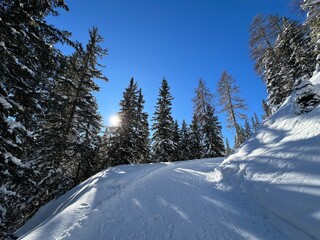Excellently arranged and cleaned winter trails for walking, hiking, sports and recreation in the area of the tourist resort of Davos in the Swiss Alps - Canton of Grisons, Switzerland (Schweiz)