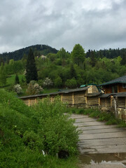 Nature path leading through lush green landscape