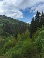 Lush green landscape nestled in mountain hills