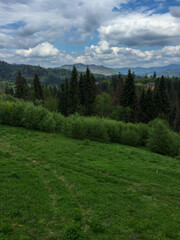 Fototapeta premium Beautiful green landscape with mountains in view