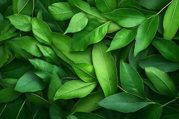 Obraz premium Green Leaf Collection: Artistic Watercolor and Detailed Digital Illustrations Featuring Clovers, Tropical Leaves, Falling Foliage, and Textured Dry Leaves - Perfect for Nature-Themed Designs and Decor