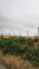 Obraz premium fence in the field
