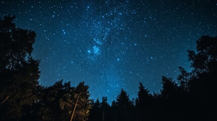 Naklejka premium Night sky nature landscape background