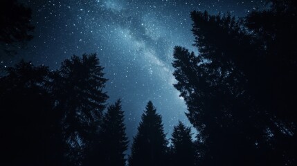 Night sky nature landscape background