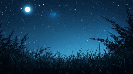 Naklejka premium Night sky nature landscape background
