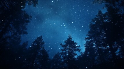 Naklejka premium Night sky nature landscape background