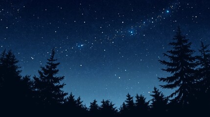 Fototapeta premium Night sky nature landscape background