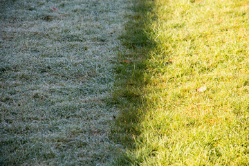 Frost on grass melting instantly in the sun