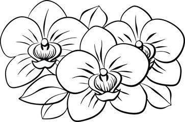 Elegant Big Botanical Flowers Line Art for Creative Designs flower isolated on white background