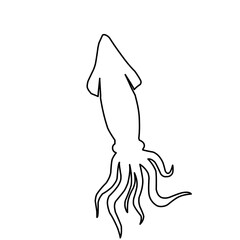 Squid Line Icon 