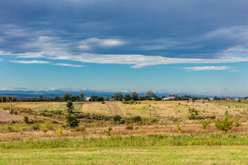 Fototapeta premium A large field with a few trees and a cloudy sky