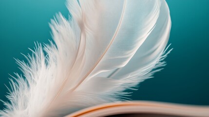 Obraz premium white feather marks the place in an open book set against a blue silk background.