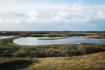 Wetlands and marshes in Parc du Marquenterre, France