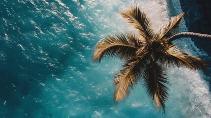 Palm tree branch swaying over a turquoise ocean, tropical beach setting generative ai