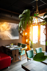 Sunny empty restaurant interior with no people tables sun restaurant