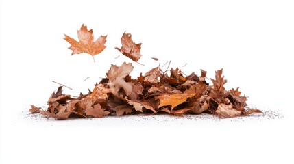 Fototapeta premium Herbstblätter in Bewegung: fallendes Chaos für saisonale Designs und Naturthemen