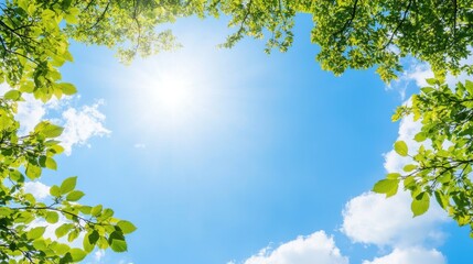 Obraz premium Die Ruhe des Sonnenscheins erhellt das Blätterdach des Waldes für ein ruhiges Naturdesign