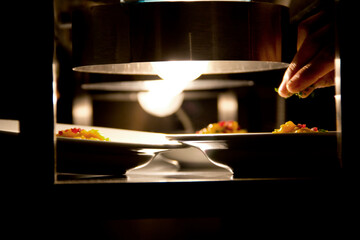 Final details to a dish in a professional fine dining restaurant kitchen, personal perspective...