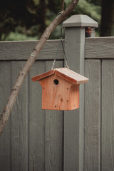 wooden bird house