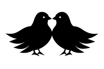 two pigeons on a white background