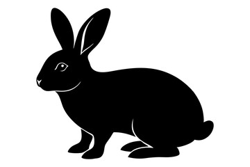 black and white rabbit