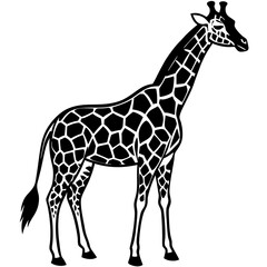 Giraffe Silhouette on White Background