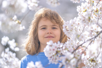 Fototapeta premium Kids face with flower on the Spring. Child in blooming cherry garden on beautiful spring day. Happy child during spring blossom. Kid in flowered garden. Outdoor Portrait of child near blossoming tree.