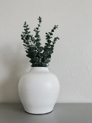 plant in a vase