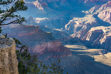 Flock of Birds in Grand Canyon