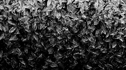 Real frost on a window with frostwork pattern ice crystals on a black background, winter, ice, cold, frosty, texture. Frostweave. Illustration