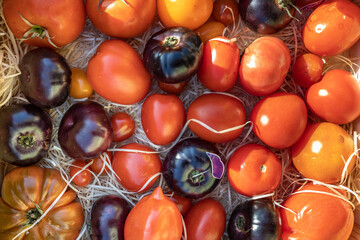 Various types of tomatoes for sale at a market stall