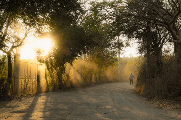 Campesino en camino de terracería