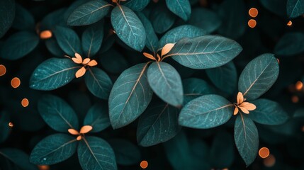 Teal Leaves and Small Orange Flowers Close Up