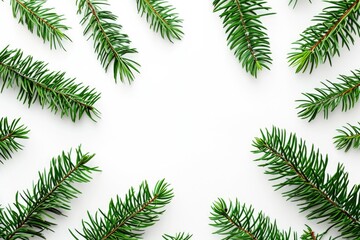 Naklejka premium Evergreen Elegance: Pine Leaf as Decorative Art on White Background