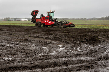 Fototapeta premium Heavy machinery, a modified potato harvester, on a muddy field after harvest of lilies. 