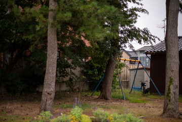 林の中のブランコ