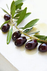 Olive branch in oil isolated on white background with shadows. Bright young fruits and green leaves in soft sunlight. Fresh olive tree branch from Greek garden, healthy food.
