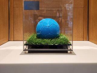 blue soccer ball in a glass case in the interior