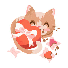 Red Cat Eating Chocolate Candy on Valentines Day.