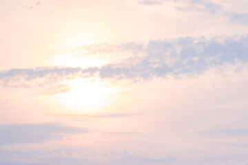 morning sky with sun illuminating the background.