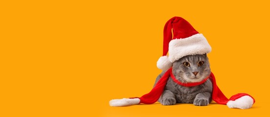 Cute cat wearing Santa hat and scarf on yellow background with space for text. Christmas celebration