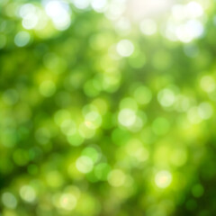 Fototapeta premium Green bokeh lights on a natural blurred background. Perfect for nature, abstract, and creative designs. Generative AI
