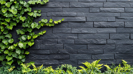 Outdoor black brick wall with ivy creeping along the surface, overcast daylight, natural greenery adding contrast, balanced composition with a rustic feel