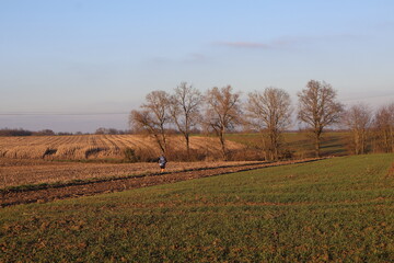 Obraz premium paysage champêtre