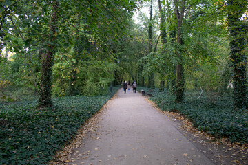 Royal Lazienki Park, river castle doors, tries and river