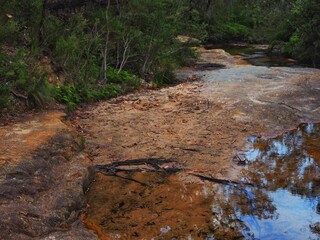 Reflections in Bush Creek Pool
