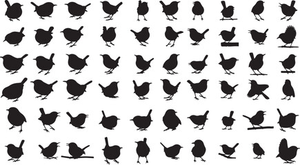 Wren Silhouette Collection for Avian and Nature Designs