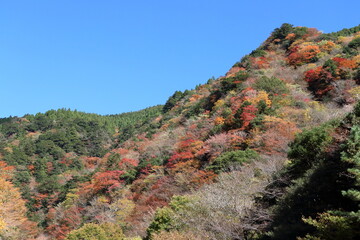 大荒の滝休憩所からの景観　秋　（高知県　香美市）