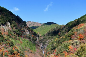 大荒の滝　秋の訪れ　（高知県　香美市）